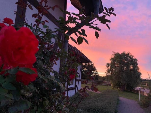 Landhotel Rosenhof Garni Am Plauer See Mit Ladesaeule Fuer E-Autos Quetzin Esterno foto